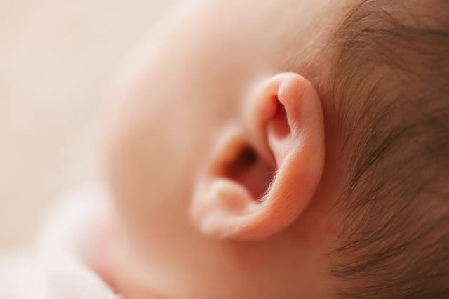 close up on a child's ear 