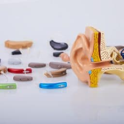 A collection of hearing aids